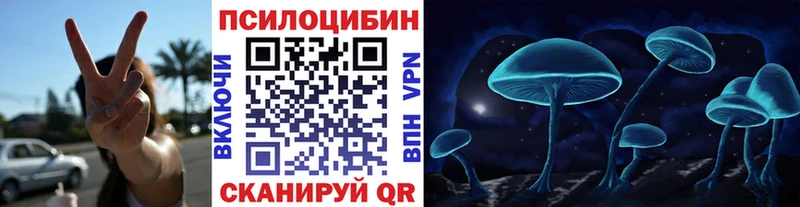 Псилоцибиновые грибы MAGIC MUSHROOMS  Иннополис 